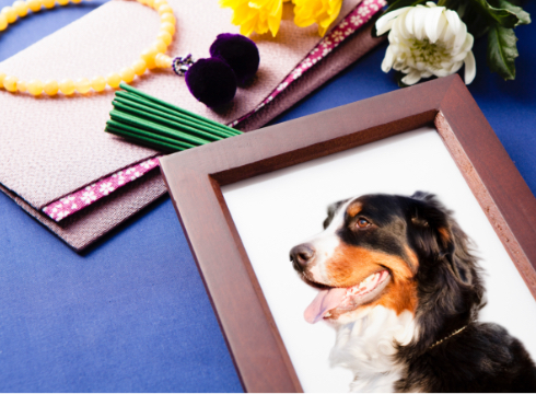 ペット葬・ペット供養